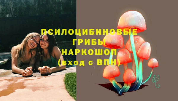 mdpv Надым