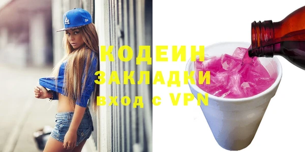 индика Михайлов