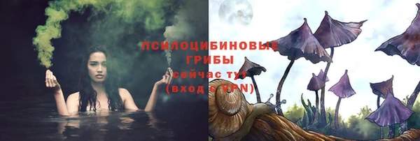 mdpv Надым
