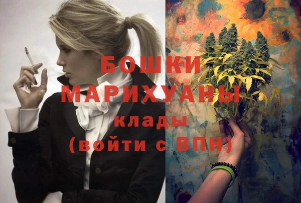 индика Михайлов