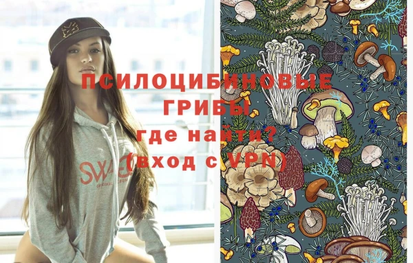 mdpv Надым
