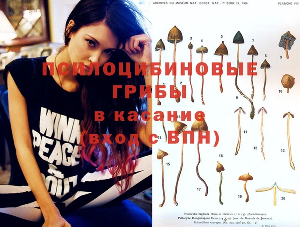каннабис Михайловск