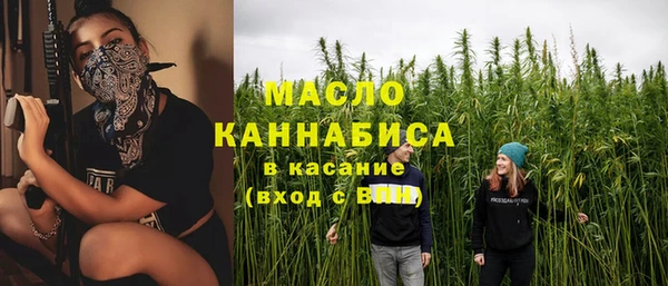 индика Михайлов