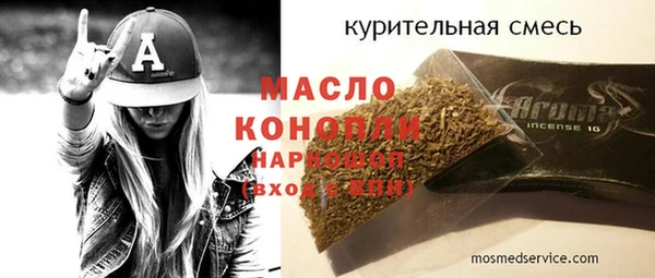 индика Михайлов